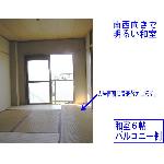 外観図