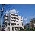 外観図