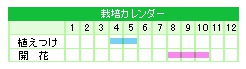 栽培カレンダー