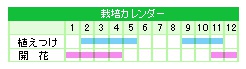 栽培カレンダー