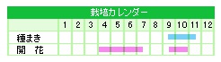 栽培カレンダー