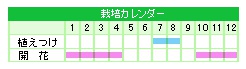 栽培カレンダー