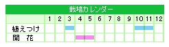 栽培カレンダー