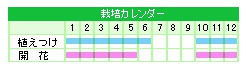 栽培カレンダー