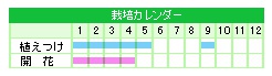 栽培カレンダー