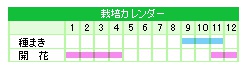 栽培カレンダー