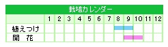 栽培カレンダー