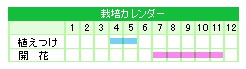 栽培カレンダー