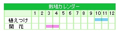 栽培カレンダー