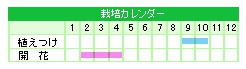 栽培カレンダー