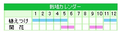 栽培カレンダー