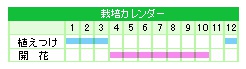 栽培カレンダー