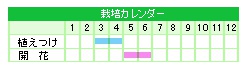 栽培カレンダー