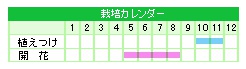 栽培カレンダー