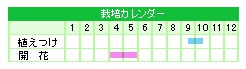 栽培カレンダー