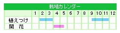 栽培カレンダー