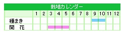 栽培カレンダー