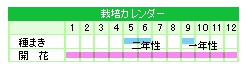 栽培カレンダー