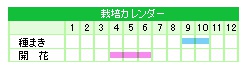 栽培カレンダー